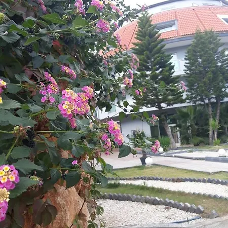 Otel Club Jovia Kemer Antalya