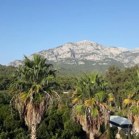 Otel Club Jovia Kemer Antalya