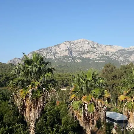 호텔 Club Jovia Kemer 안탈리아