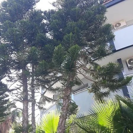 Club Jovia Kemer 안탈리아