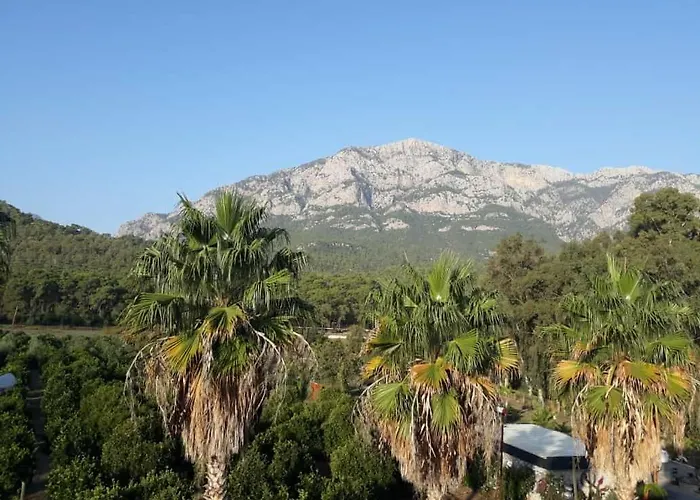 Otel Club Jovia Kemer Antalya